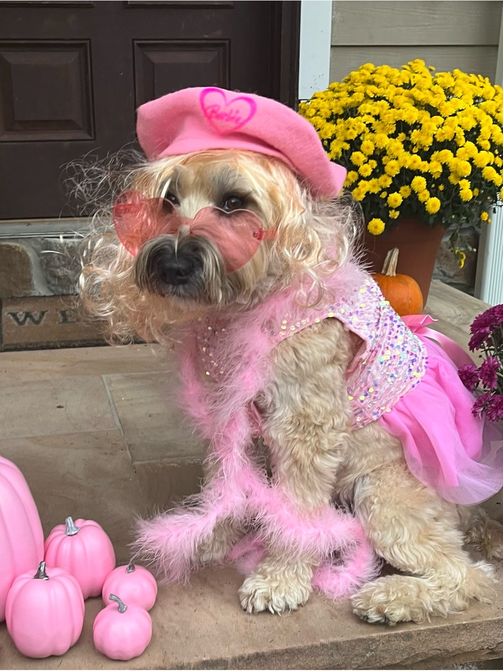 Pink Sequin Tulle Dog Dress with Beret and pink pumpkins